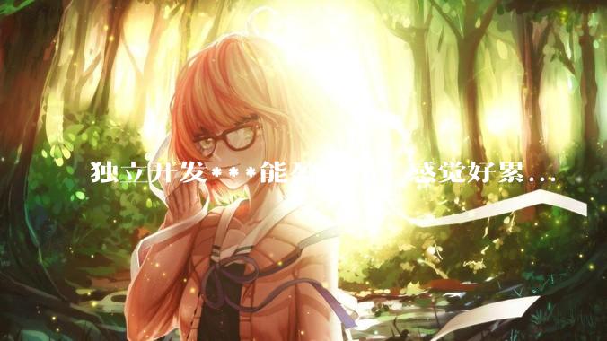 独立开发***能盈利吗？感觉好累...