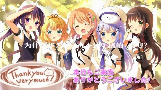 为什么华为***查不到手机的 CPU？