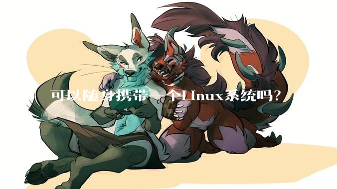 可以随身携带一个Linux系统吗？