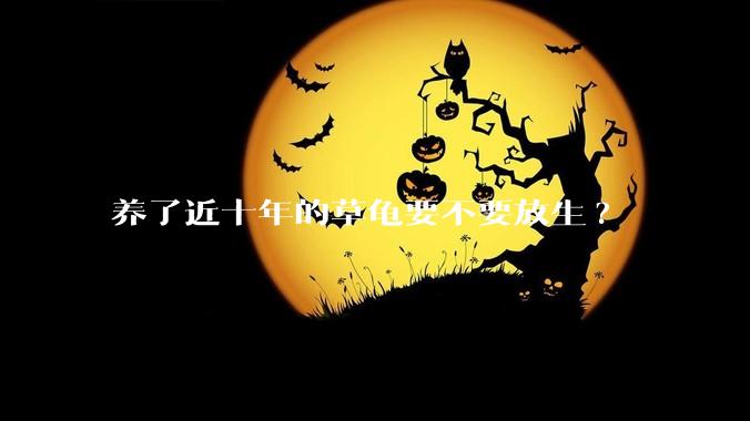 养了近十年的草龟要不要放生?