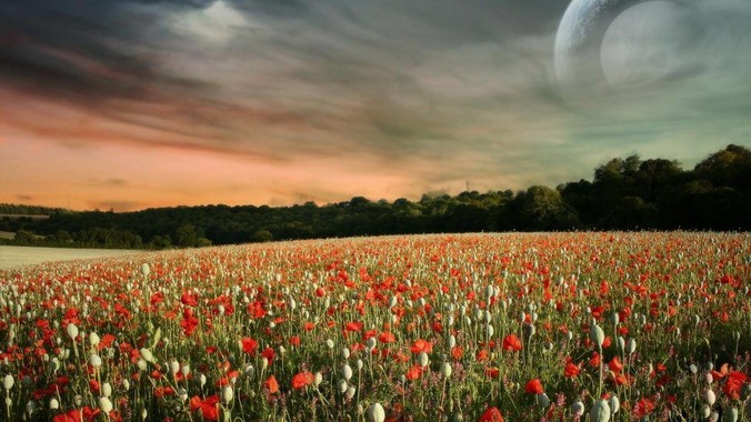 小米发布了 REDMI 首款旗舰小平板 K Pad，仅 8.8 英寸，小巧便携，如何评价这一设计？